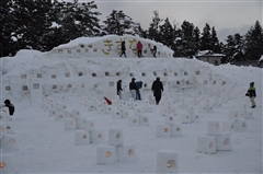 つばき雪あかりの路（みち）の様子