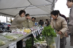 中ふれあいおまつり広場の様子